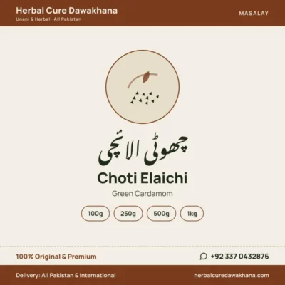 Choti Elaichi (Green Cardamom)
