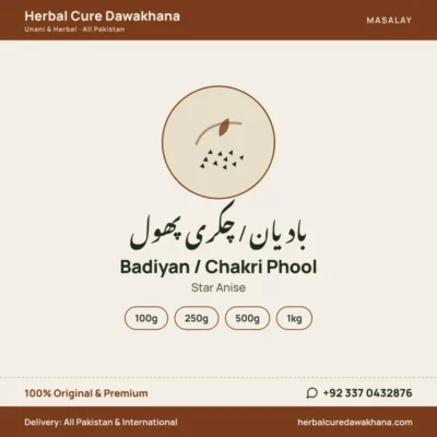 Badiyan / Chakri Phool (Star Anise)