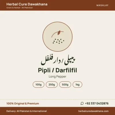 Pipli / Darfilfil (Long Pepper)