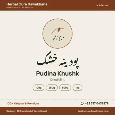 Pudina Khushk (Dried Mint)
