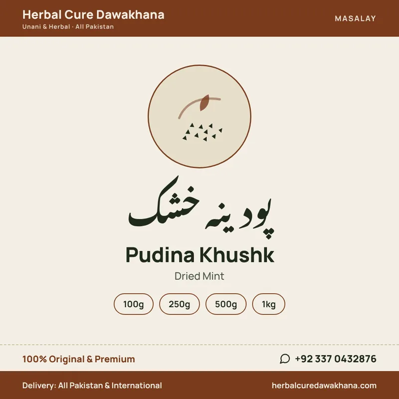 Pudina Khushk (Dried Mint)