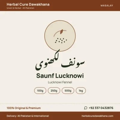 Saunf Lucknowi (Lucknowi Fennel)