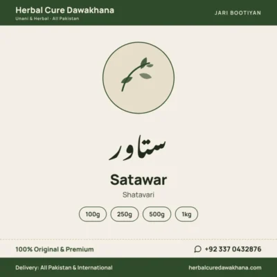 Satawar (Shatavari)