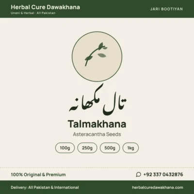 Talmakhana (Asteracantha Seeds)