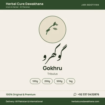 Gokhru (Tribulus)
