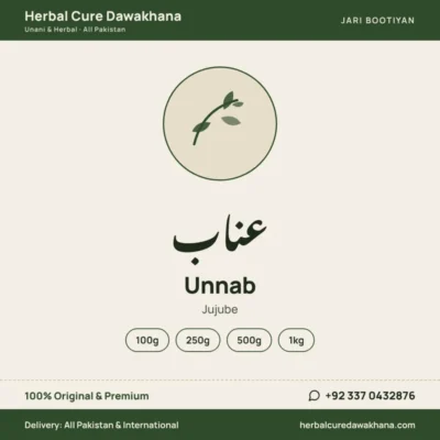 Unnab (Jujube)