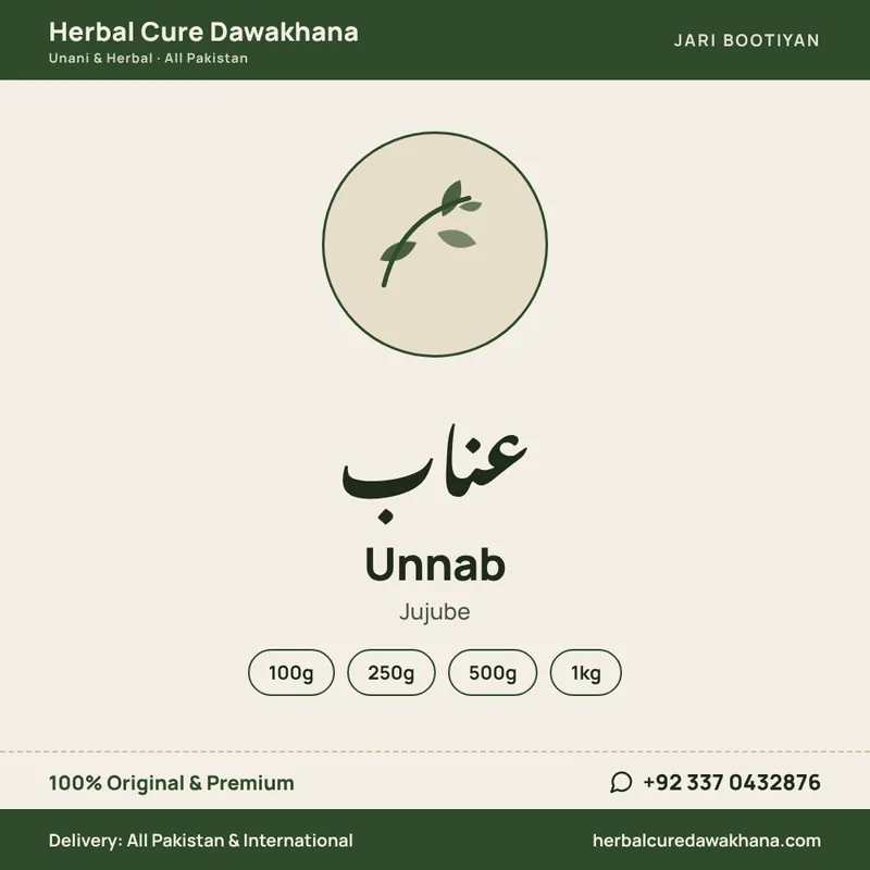 Unnab (Jujube)