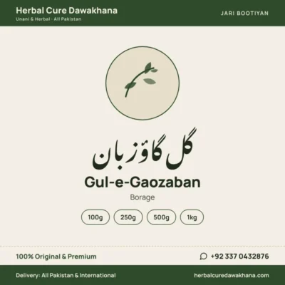 Gul-e-Gaozaban (Borage)