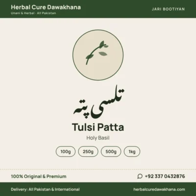 Tulsi Patta (Holy Basil)