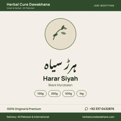 Harar Siyah (Black Myrobalan)