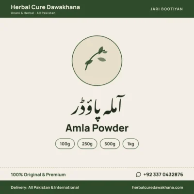 Amla Powder