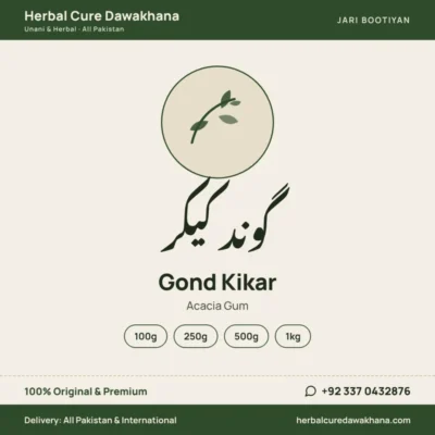 Gond Kikar (Acacia Gum)