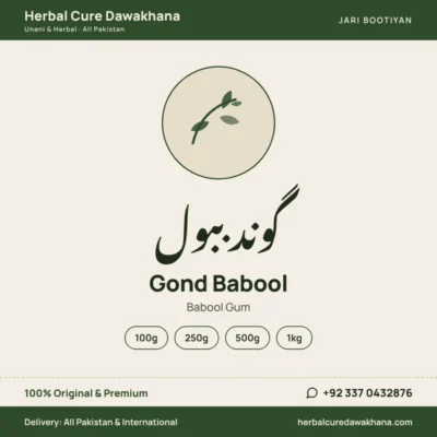 Gond Babool (Babool Gum)