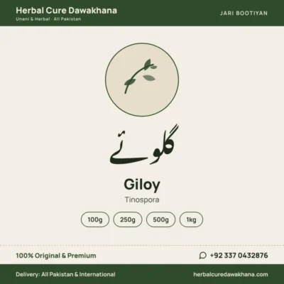 Giloy (Tinospora)