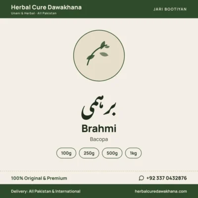 Brahmi (Bacopa)