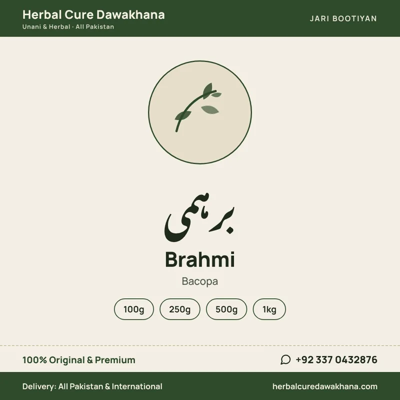 Brahmi (Bacopa)
