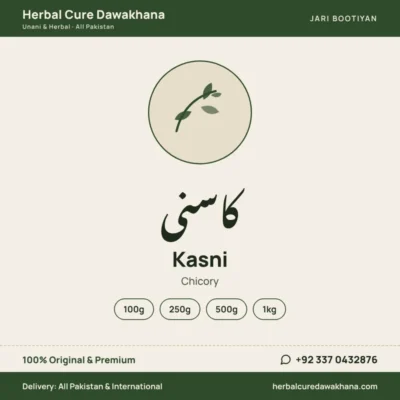 Kasni (Chicory)