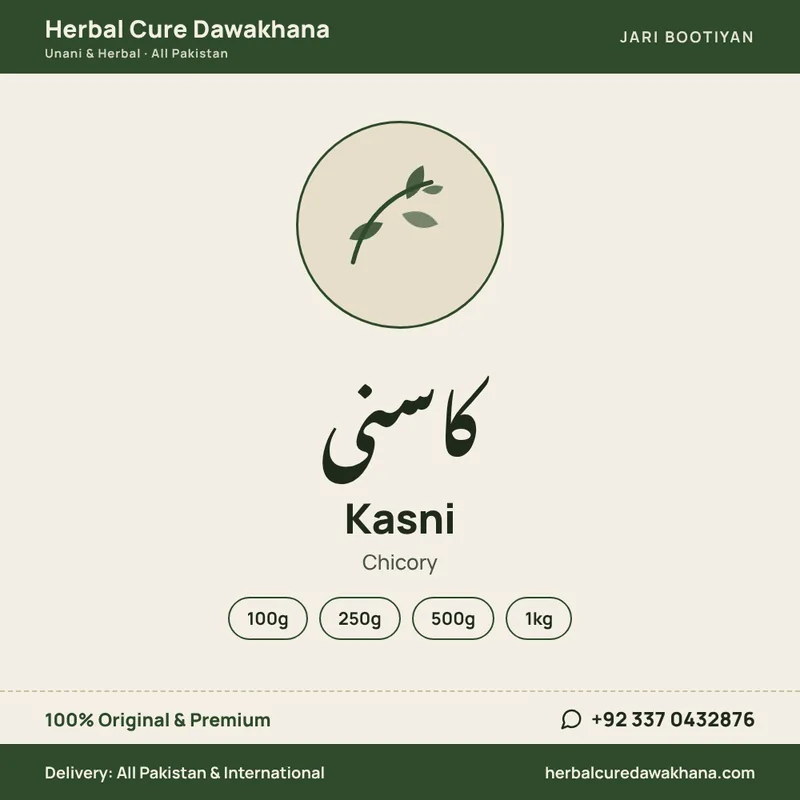 Kasni (Chicory)