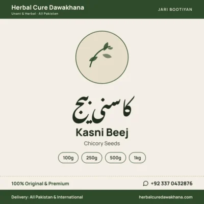 Kasni Beej (Chicory Seeds)