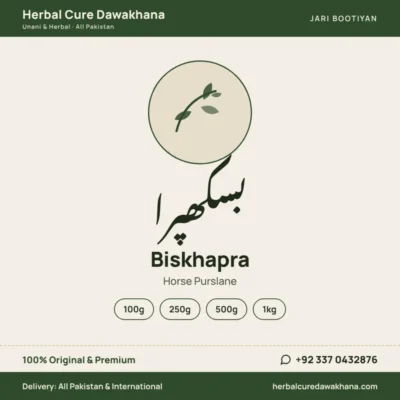 Biskhapra (Horse Purslane)