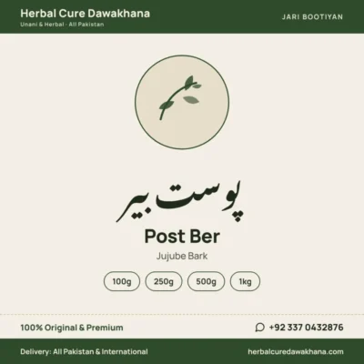 Post Ber (Jujube Bark)