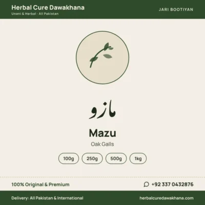 Mazu (Oak Galls)