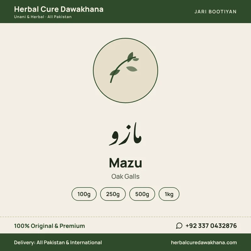 Mazu (Oak Galls)