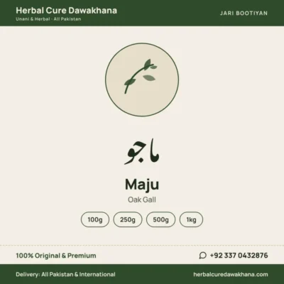 Maju (Oak Gall)
