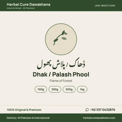 Dhak / Palash Phool (Flame of Forest)