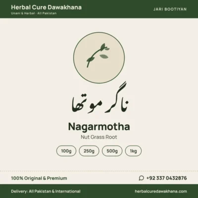 Nagarmotha (Nut Grass Root)