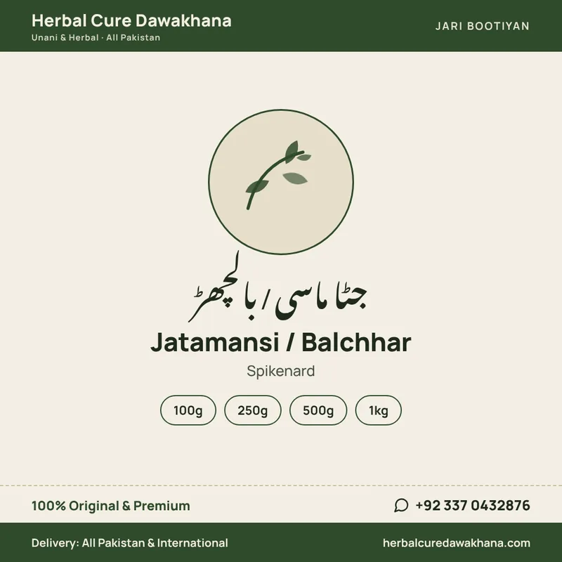 Jatamansi / Balchhar (Spikenard)