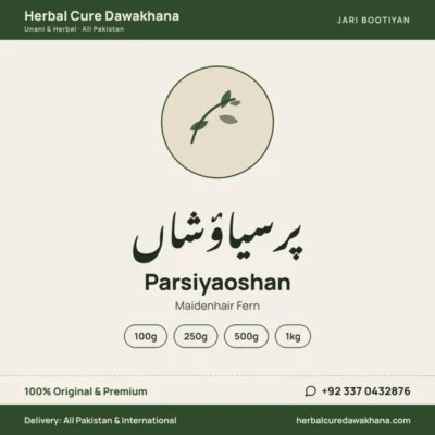 Parsiyaoshan (Maidenhair Fern)