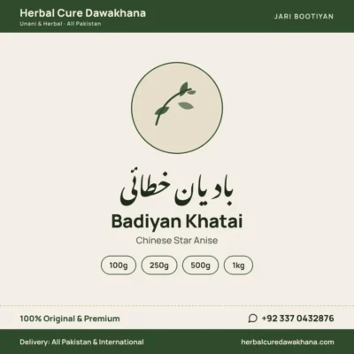 Badiyan Khatai (Chinese Star Anise)