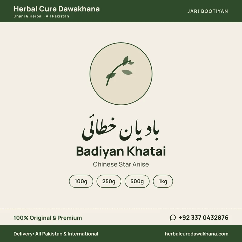 Badiyan Khatai (Chinese Star Anise)