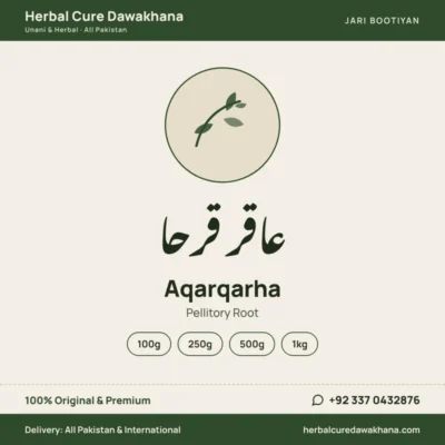 Aqarqarha (Pellitory Root)