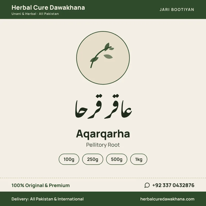 Aqarqarha (Pellitory Root)