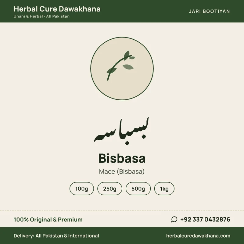 Bisbasa (Mace (Bisbasa))