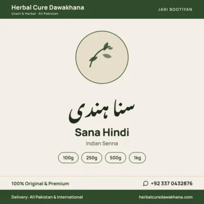 Sana Hindi (Indian Senna)