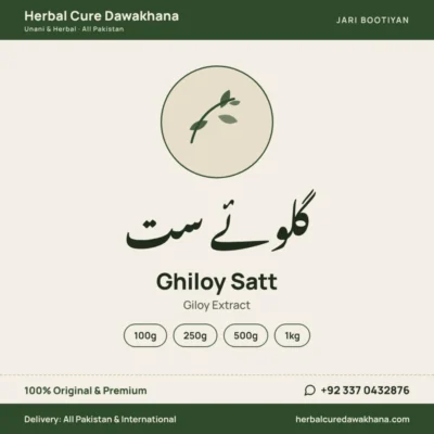 Ghiloy Satt (Giloy Extract)