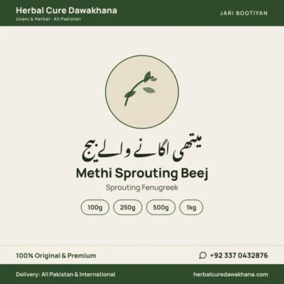 Methi Sprouting Beej (Sprouting Fenugreek)