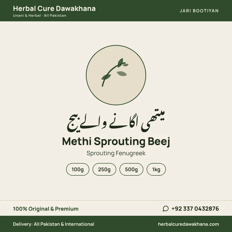 Methi Sprouting Beej (Sprouting Fenugreek)