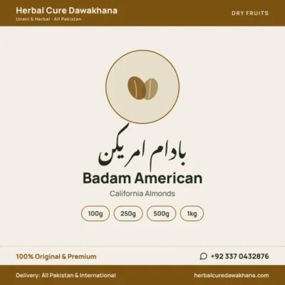 Badam American (California Almonds)