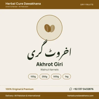 Akhrot Giri (Walnut Kernels)