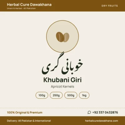 Khubani Giri (Apricot Kernels)