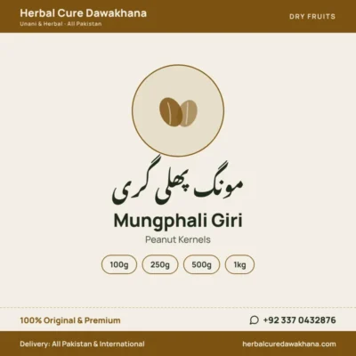 Mungphali Giri (Peanut Kernels)