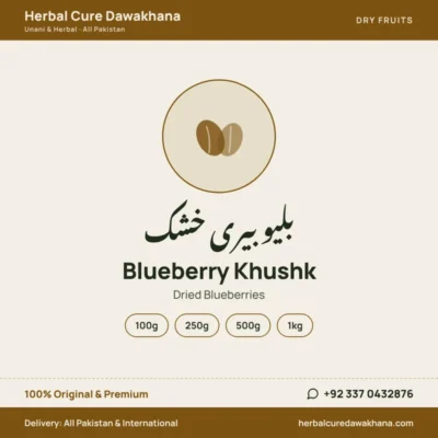 Blueberry Khushk (Dried Blueberries)