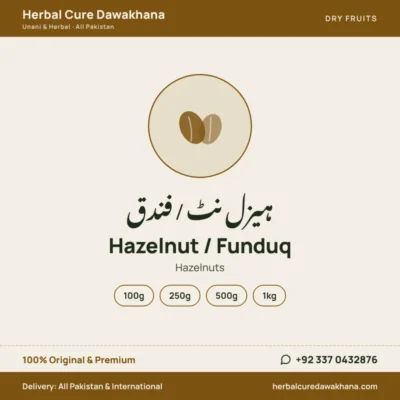 Hazelnut / Funduq (Hazelnuts)