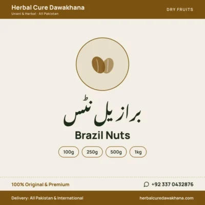 Brazil Nuts