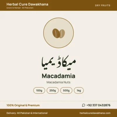 Macadamia (Macadamia Nuts)