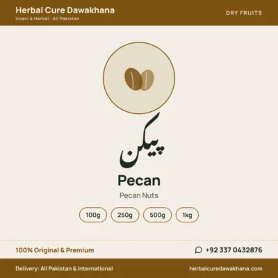 Pecan (Pecan Nuts)